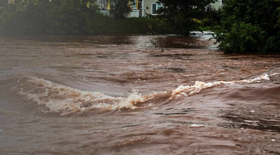 Why choose JiveHaven for water damage restoration in Santa Monica